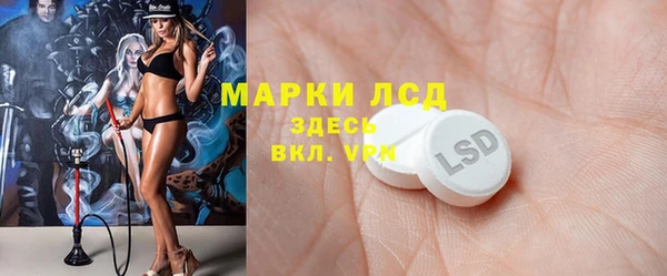 прущие грибы Алзамай