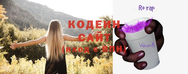 прущие грибы Алзамай