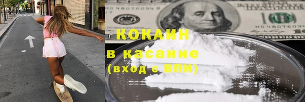 прущие грибы Алзамай