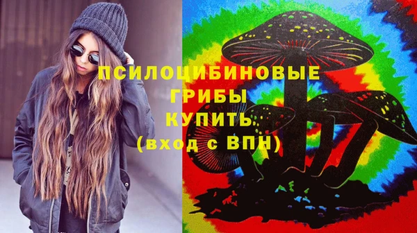твердый Алексеевка