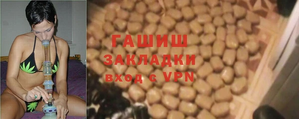 гидра Алексин