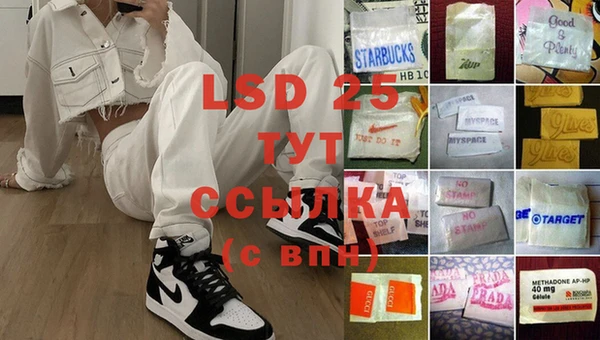 прущие грибы Алзамай