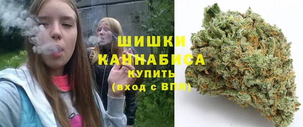 прущие грибы Алзамай