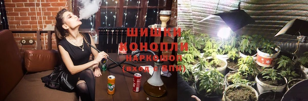 прущие грибы Алзамай