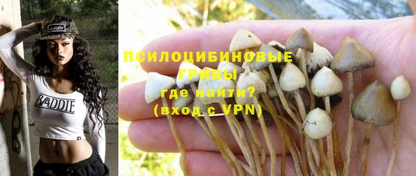 прущие грибы Алзамай